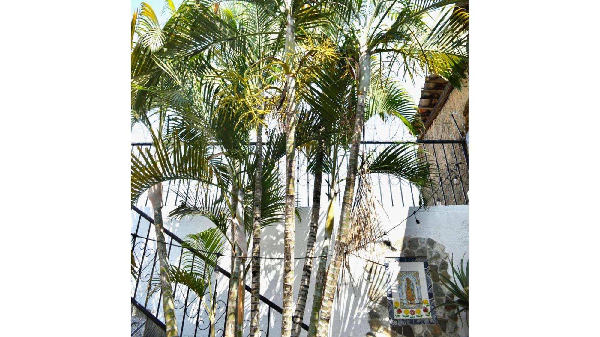 Casa Coco Hostel 산타 아나 외부 사진
